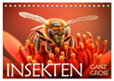 Insekten ganz gross (Tischkalender 2024 DIN A5 quer), CALVENDO Monatskalender