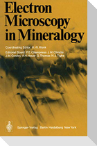 Electron Microscopy in Mineralogy