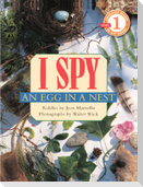 I Spy an Egg in a Nest