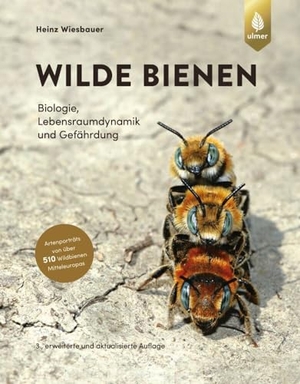 Wiesbauer, Heinz. Wilde Bienen - Biologie, Lebensraumdynamik und Gefährdung. Artenporträts von über 510 Wildbienen Mitteleuropas. Ulmer Eugen Verlag, 2023.