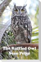 The Ruffled Owl