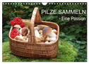 Pilze sammeln - eine Passion (Wandkalender 2024 DIN A4 quer), CALVENDO Monatskalender