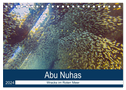 Abu Nuhas - Wracks im Roten Meer (Tischkalender 2024 DIN A5 quer), CALVENDO Monatskalender