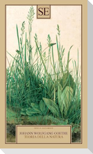 Teoria della natura