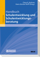 Handbuch Schulentwicklung und Schulentwicklungsberatung