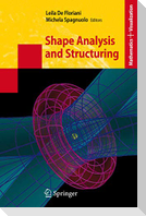 Shape Analysis and Structuring