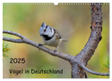 Vögel in Deutschland (Wandkalender 2025 DIN A3 quer), CALVENDO Monatskalender