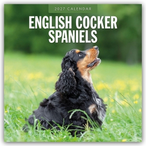 Red, Robin. English Cocker Spaniels - Englisch Cocker Spaniel 2027 - 16-Monatskalender - Original Red Robin Publishing Ltd-Kalender [Mehrsprachig] [Kalender]. Browntrout Verlags GmbH, 2026.