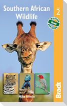 Southern African Wildlife