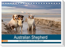 Australian Shepherd 2025 (Tischkalender 2025 DIN A5 quer), CALVENDO Monatskalender