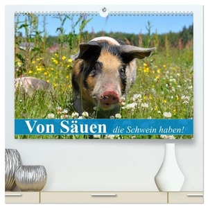 Stanzer, Elisabeth. Von Säuen die Schwein haben! (hochwertiger Premium Wandkalender 2024 DIN A2 quer), Kunstdruck in Hochglanz - So glücklich sollten alle Schweine leben können. Calvendo, 2023.