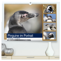 Pinguine im Portrait - Frackträger in Südafrika (hochwertiger Premium Wandkalender 2024 DIN A2 quer), Kunstdruck in Hochglanz