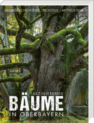 Schuller, Jürgen. Faszinierende Bäume in Oberbayern - Baumgeschichte(n) - Biologie - Mythologie. Bayerland, 2023.