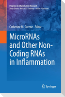 MicroRNAs and Other Non-Coding RNAs in Inflammation