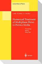 Numerical Treatment of Multiphase Flows in Porous Media