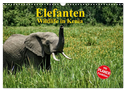 Elefanten . Wildlife in Kenia (Wandkalender 2025 DIN A3 quer), CALVENDO Monatskalender
