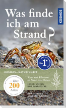 Was finde ich am Strand?