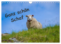 Ganz schön Schaf (Wandkalender 2025 DIN A4 quer), CALVENDO Monatskalender