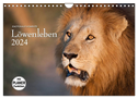 Emotionale Momente: Löwenleben (Wandkalender 2024 DIN A4 quer), CALVENDO Monatskalender