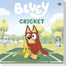 Bluey: Cricket
