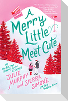 A Merry Little Meet Cute