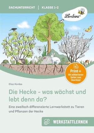 Kordas, Elisa. Die Hecke - was wächst und lebt denn da - Eine zweifach differenzierte Lernwerkstatt zu Tieren und Pflanzen der Hecke (1. und 2. Klasse). Lernbiene Verlag i.d. AAP, 2025.