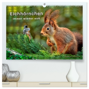 Roder, Peter. Eichhörnchen - immer wieder süß (hochwertiger Premium Wandkalender 2024 DIN A2 quer), Kunstdruck in Hochglanz - Eichhörnchen - flinke kleine Kobolde in Wald und Park.. Calvendo, 2023.
