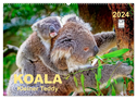 Koala - kleiner Teddy (Wandkalender 2024 DIN A2 quer), CALVENDO Monatskalender