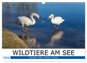 WILDTIERE AM SEE (Wandkalender 2024 DIN A3 quer), CALVENDO Monatskalender