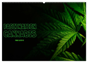 Faszination Cannabis (Wandkalender 2025 DIN A2 quer), CALVENDO Monatskalender