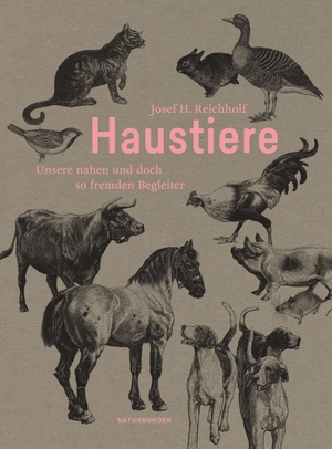 Reichholf, Josef H.. Haustiere - Unsere nahen und doch so fremden Begleiter. Matthes & Seitz Verlag, 2017.