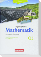 Bigalke/Köhler: Mathematik Grundkurs 3. Halbjahr - Hessen - Band Q3