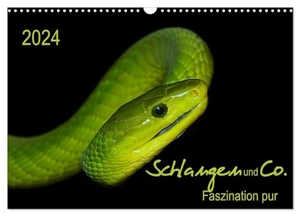 Enkemeier, Sigrid. Schlangen und Co. - Faszination pur (Wandkalender 2024 DIN A3 quer), CALVENDO Monatskalender - Schlangen und Reptilien in ihrer ganzen Faszination. Calvendo Verlag, 2023.