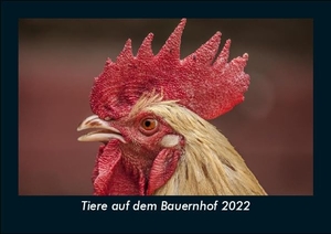Tobias Becker. Tiere auf dem Bauernhof 2022 Fotokalender DIN A5 - Monatskalender mit Bild-Motiven von Haustieren, Bauernhof, wilden Tieren und Raubtieren. Vero Kalender, 2021.