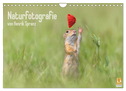 Naturfotografie (Wandkalender 2025 DIN A4 quer), CALVENDO Monatskalender