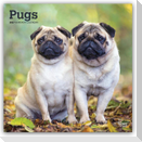 Pugs - Mops 2027 - 16-Monatskalender