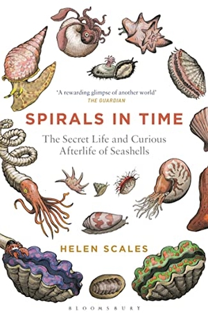 Scales, Helen. Spirals in Time - The Secret Life and Curious Afterlife of Seashells. Bloomsbury Publishing plc, 2016.
