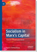 Socialism in Marx¿s Capital