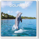 Dolphins - Delfine 2027 - 16-Monatskalender
