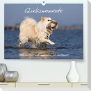 Glücksmomente - Unterwegs mit meinem Islandhund (Premium, hochwertiger DIN A2 Wandkalender 2023, Kunstdruck in Hochglanz)