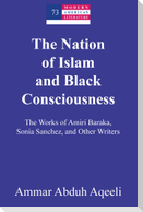 The Nation of Islam and Black Consciousness