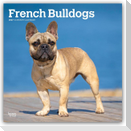 French Bulldogs - Französische Bulldogge 2027 - 16-Monatskalender