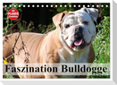 Faszination Bulldogge (Tischkalender 2024 DIN A5 quer), CALVENDO Monatskalender