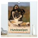 Hundewelpen (hochwertiger Premium Wandkalender 2025 DIN A2 hoch), Kunstdruck in Hochglanz