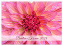 Dahlien-Kronen (Wandkalender 2024 DIN A3 quer), CALVENDO Monatskalender