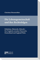 Die Lebensgemeinschaft und ihre Rechtsfolgen