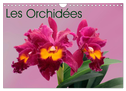 Les Orchidées (Calendrier mural 2025 DIN A4 vertical), CALVENDO calendrier mensuel