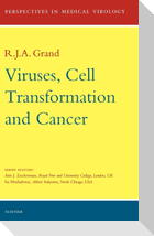 Viruses, Cell Transformation, and Cancer