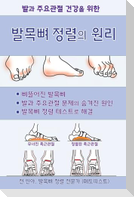 발목뼈 정렬의 원리