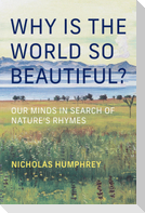 Why Is the World So Beautiful?